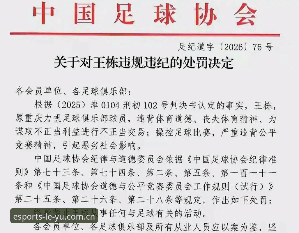 乐鱼新手攻略功能详解 揭秘中国足协第三批禁足名单背后的行业黑幕